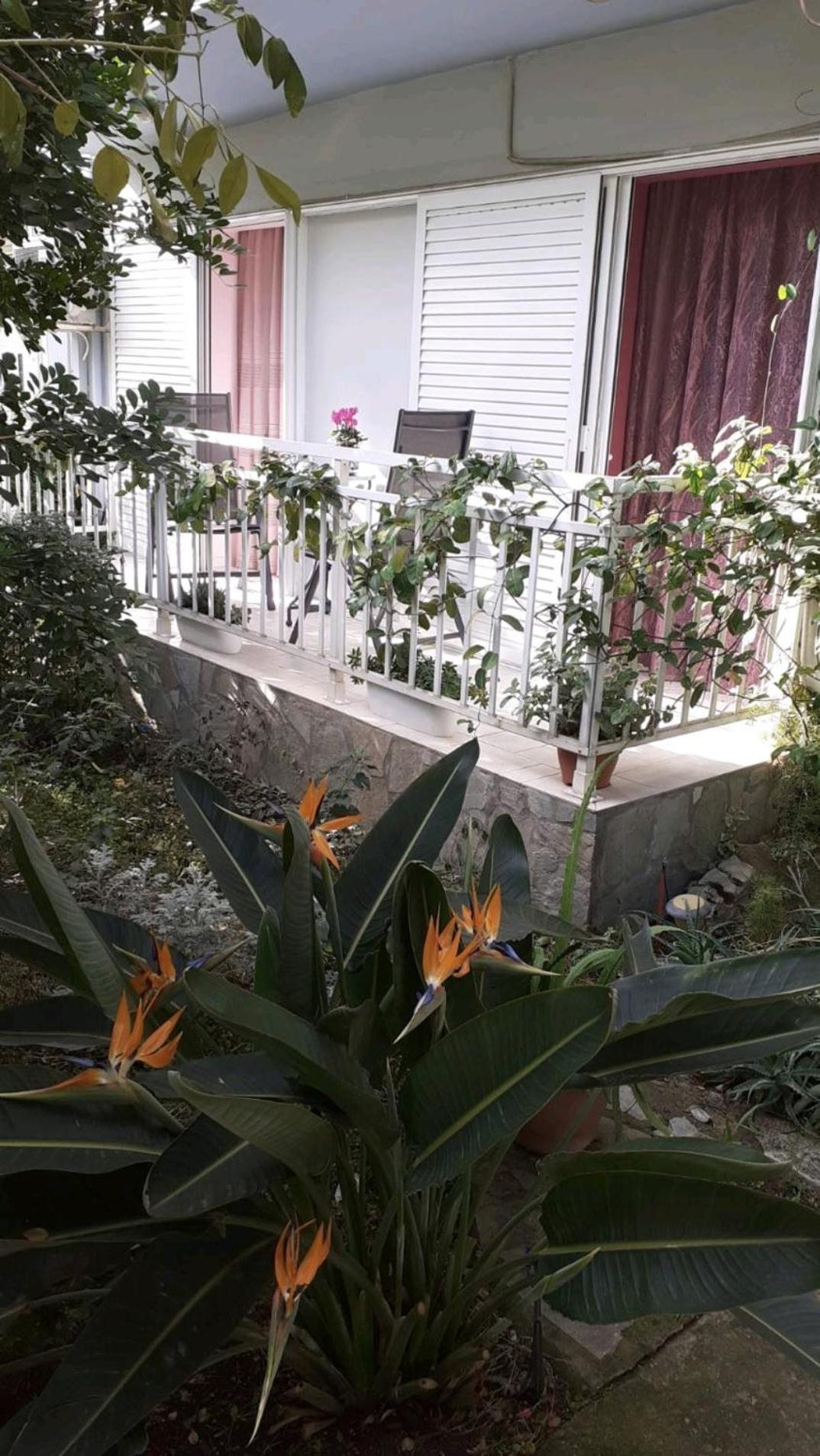 Dreamhouse Apartment Nafpaktos Ngoại thất bức ảnh
